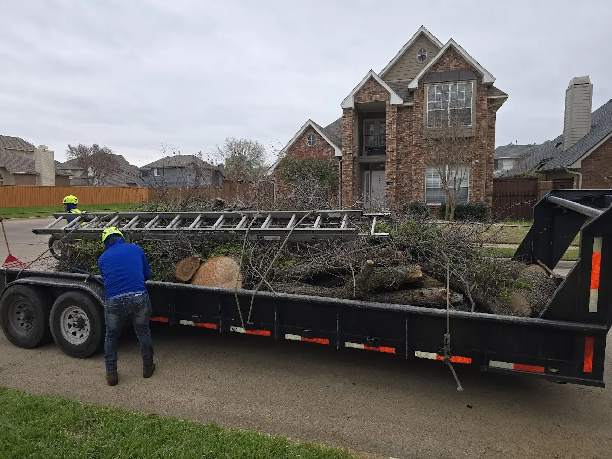 Expert Tree Removal with proper safety equipment in Gas City